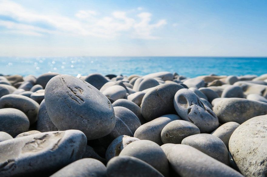 The Iconic Pet Rock Was an Ordinary Beach Stone from Rosarito Beach in Mexico